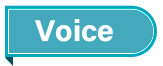 voice01