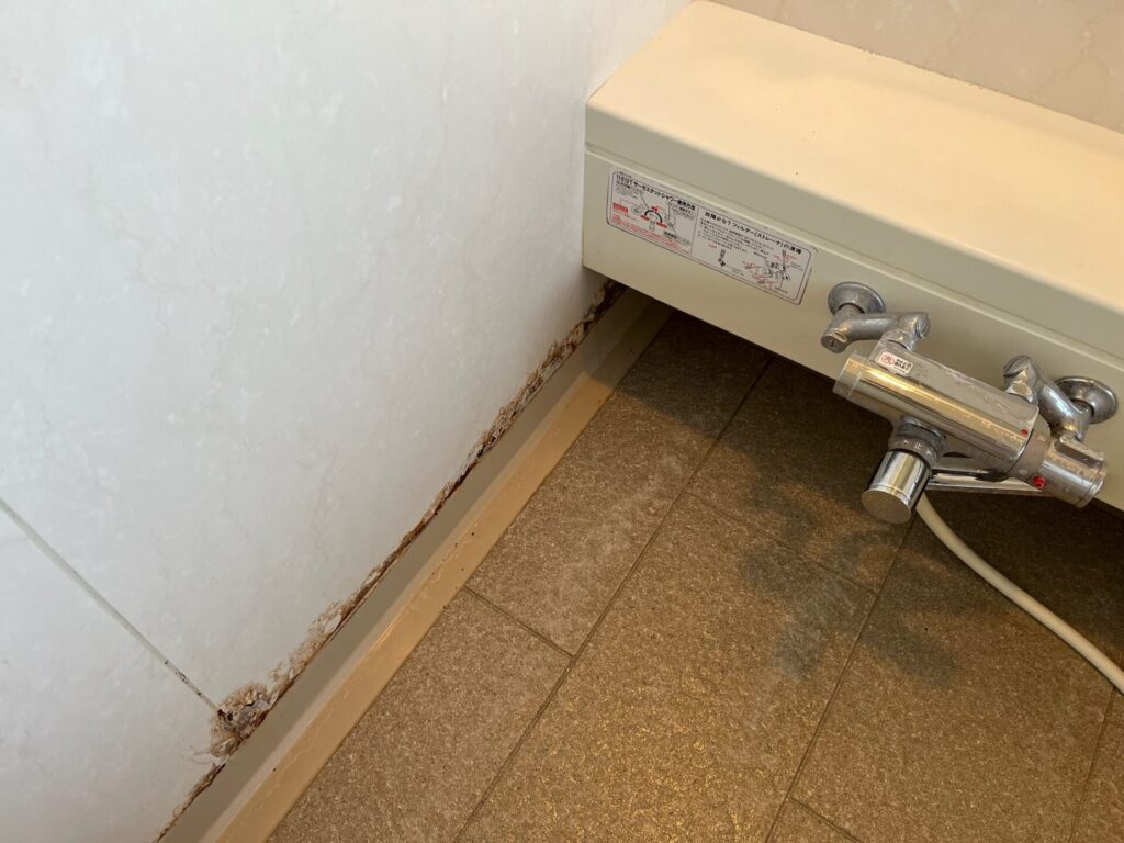 ユニットバスの壁面下部がサビで腐食している