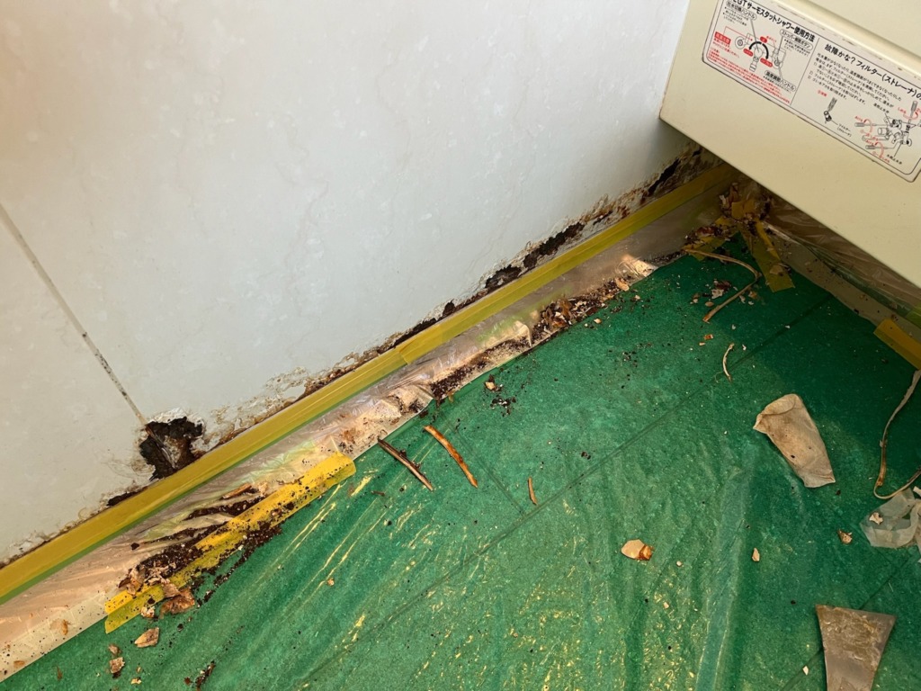 ユニットバス壁面下部の錆を撤去している
